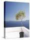 Santorini, Cyclades, Greek Islands, Greece, Europe-Angelo Cavalli-Premier Image Canvas