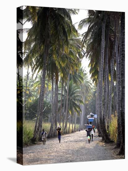 Sao Tomense Walk Through a Plantation Called 'Rio Do Ouro' in the North of the Island of Sao Tomé-Camilla Watson-Premier Image Canvas