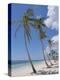 Saona Island, South Coast, Dominican Republic, Central America-Guy Thouvenin-Premier Image Canvas