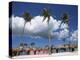 Saona Island, South Coast, Dominican Republic, Central America-Thouvenin Guy-Premier Image Canvas