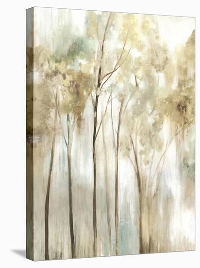 Sapling I-Allison Pearce-Stretched Canvas