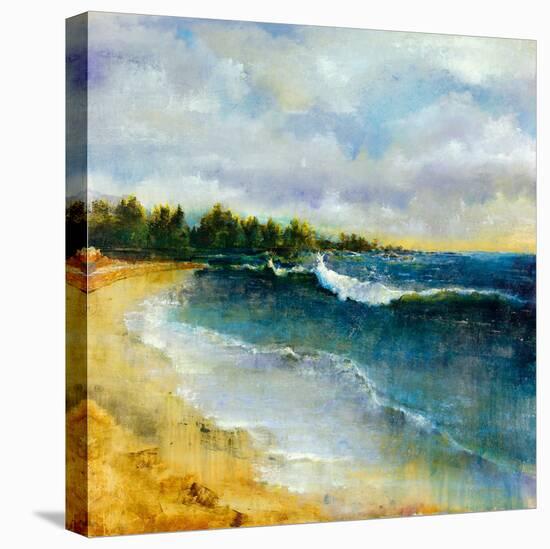 Sapphire Sea-Carney-Stretched Canvas