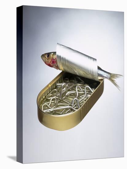 Sardine Can Inversion, 1997-Norman Hollands-Premier Image Canvas