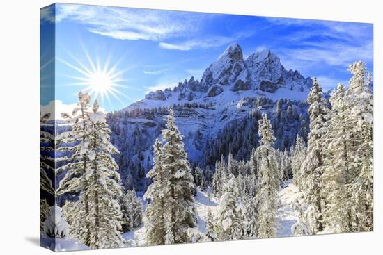 Sass de Putia and forest after a snowfall, Funes Valley, Sudtirol (South Tyrol), Dolomites, Italy, -Francesco Bergamaschi-Premier Image Canvas