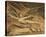 Satan Exulting over Eve-William Blake-Stretched Canvas