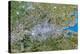 Satellite Image of Greater London, UK-PLANETOBSERVER-Premier Image Canvas