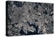 Satellite view of Baltimore, Maryland, USA-null-Premier Image Canvas