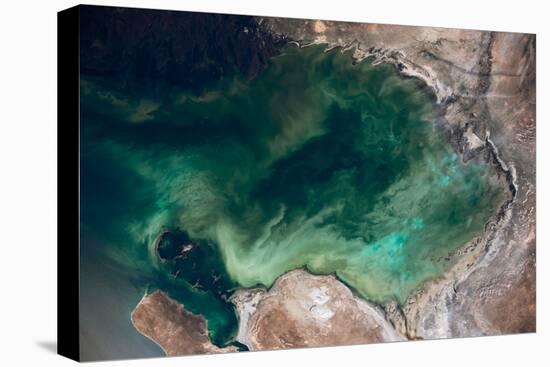 Satellite view of Caspian Sea and Coastal Area, Kazakhstan-null-Premier Image Canvas