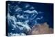 Satellite view of coastal area along Mediterranean Sea, Libya-null-Premier Image Canvas