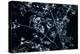 Satellite view of Disneyworld, Orlando, Florida, USA-null-Premier Image Canvas