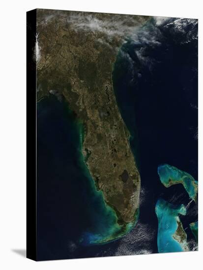 Satellite View of Florida-null-Premier Image Canvas