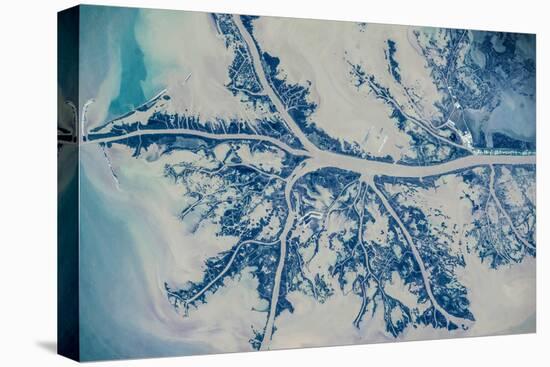 Satellite view of Mississippi River Delta, Louisiana, USA-null-Premier Image Canvas