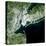 Satellite View of New York City-Stocktrek Images-Premier Image Canvas