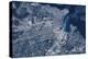 Satellite view of Tacoma, Pierce County, Washington State, USA-null-Premier Image Canvas