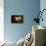 Saturn in Outer Space Against Sun and Star Field-null-Stretched Canvas displayed on a wall