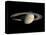 Saturn-Michael Benson-Premier Image Canvas
