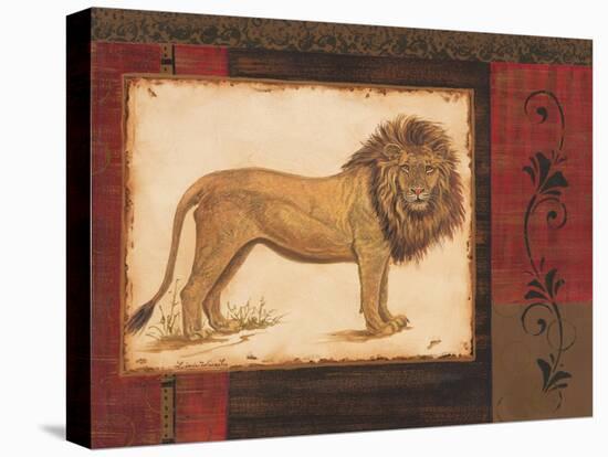 Savanna Lion-Linda Wacaster-Stretched Canvas