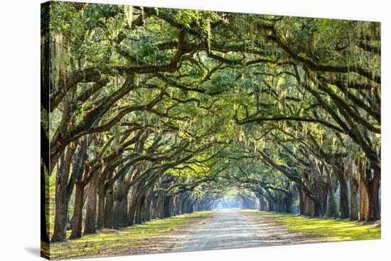 Savannah, Georgia, USA Oak Tree Lined Road at Historic Wormsloe Plantation.-SeanPavonePhoto-Premier Image Canvas