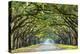 Savannah, Georgia, USA Oak Tree Lined Road at Historic Wormsloe Plantation.-SeanPavonePhoto-Premier Image Canvas
