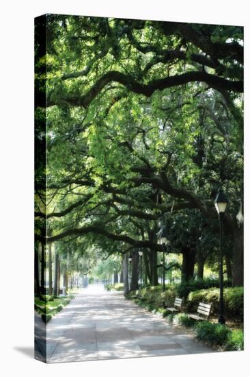 Savannah Sidewalk I-Alan Hausenflock-Premier Image Canvas