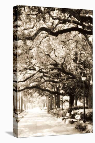 Savannah Sidewalk Sepia I-Alan Hausenflock-Premier Image Canvas