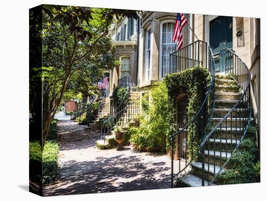 Savannah Street with Traditional House Entrances, Georgia-George Oze-Premier Image Canvas