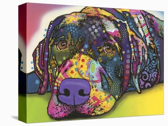 Savvy Labrador-Dean Russo-Premier Image Canvas