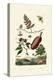 Sawfly, 1833-39-null-Premier Image Canvas