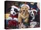 Sawry Santa Paws-Jenny Newland-Premier Image Canvas