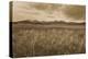 Sawtooth Mountains Idaho II Dark-Alan Majchrowicz-Stretched Canvas