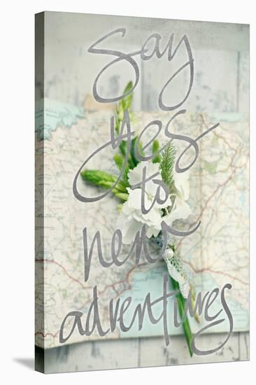 Say Yes To New Adventures-Sarah Gardner-Stretched Canvas