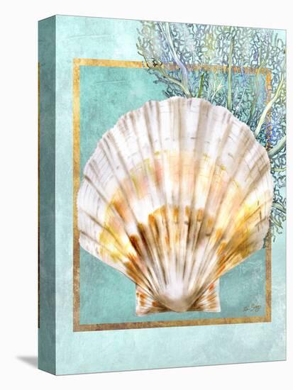 Scallop Shell and Coral-Lori Schory-Stretched Canvas