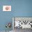 Scallop Shell - Coral - Coastal Icon-Lantern Press-Stretched Canvas displayed on a wall