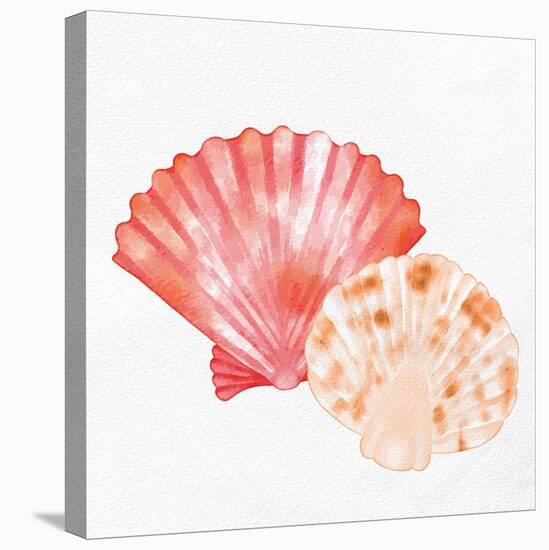 Scallop Shells 1-Kimberly Allen-Stretched Canvas