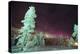 Scandinavia, Finland, Lapland, Kakslauttanen, The Aurora borealis-Daisy Gilardini-Premier Image Canvas