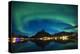 Scandinavia, Norway, Lofoten, Aurora, Aurora Borealis, Polar-Region, Night-Shot-Rainer Mirau-Premier Image Canvas