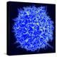 Scanning Electron Micrograph of a Human T Cell-Stocktrek Images-Premier Image Canvas