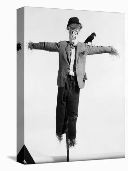 Scarecrow with Crow on His Shoulder-null-Premier Image Canvas