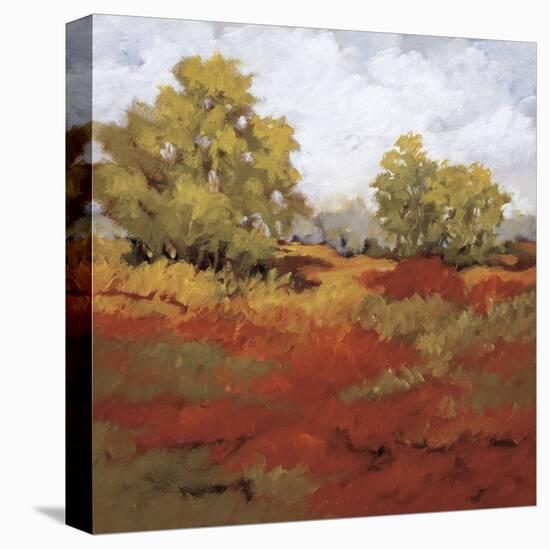 Scarlet Fields I-Maija Baynes-Stretched Canvas