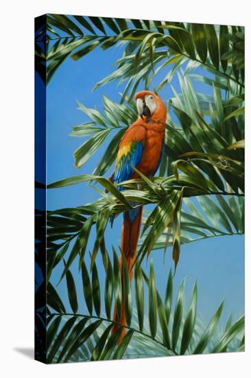 Scarlet Macaw 1-Michael Jackson-Premier Image Canvas