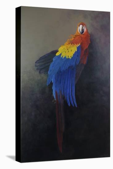 Scarlet macaw 3, 2014-Odile Kidd-Premier Image Canvas