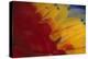 Scarlet Macaw Feathers-DLILLC-Premier Image Canvas