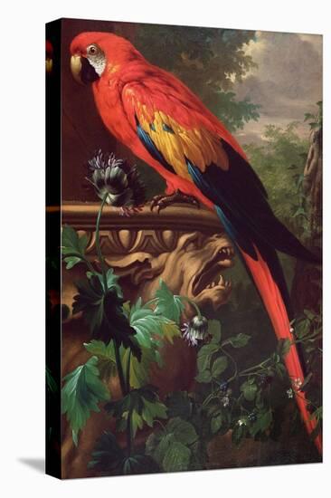 Scarlet Macaw in a Landscape-Jakob Bogdani Or Bogdany-Premier Image Canvas