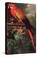 Scarlet Macaw in a Landscape-Jakob Bogdani Or Bogdany-Premier Image Canvas