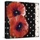 Scarlet Poppies II-Color Bakery-Premier Image Canvas