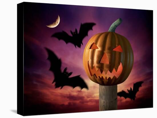 Scary Pumpkin and Bats-Matthias Kulka-Premier Image Canvas