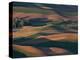 Scene at Dawn from Steptoe Butte, Palouse, Washington, USA-Charles Sleicher-Premier Image Canvas