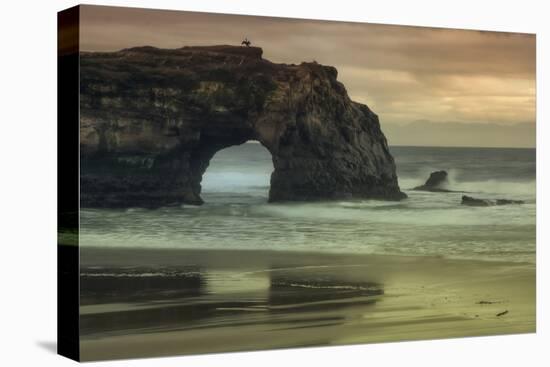 Scene at Natural Bridges, Santa Cruz-Vincent James-Premier Image Canvas