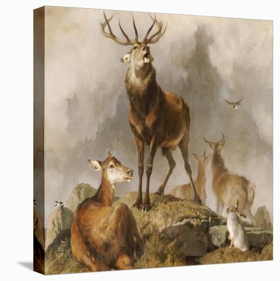 Scene in Braemar, Highland Deer-Edwin Henry Landseer-Premier Image Canvas
