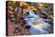 Scene of Autumn Leaves and Duck Brook-Vincent James-Premier Image Canvas